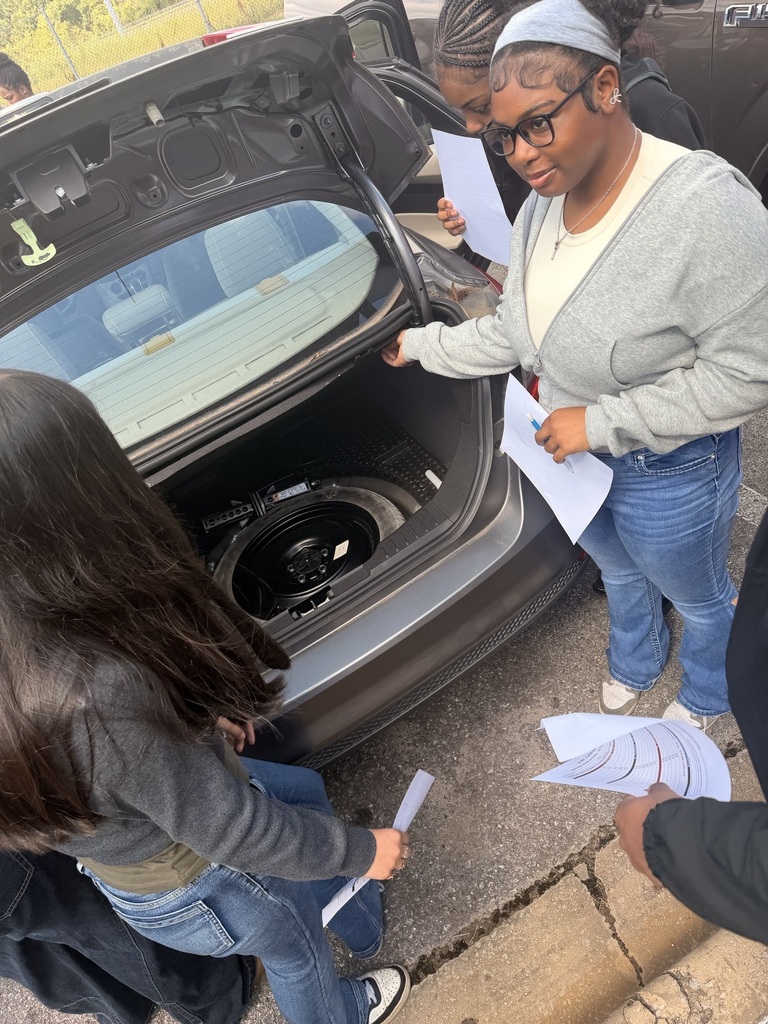 Car Inspection 2