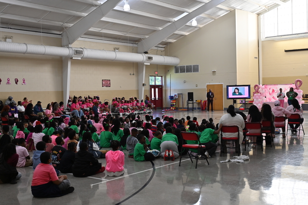 Breast Cancer Awareness Month at Princeton Alternative Elementary School