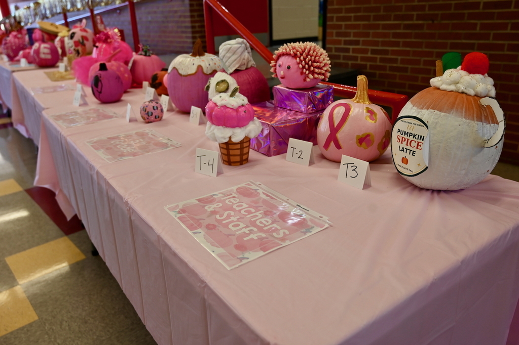 Breast Cancer Awareness Month at Princeton Alternative Elementary School