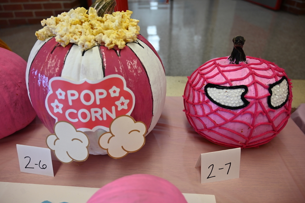 Breast Cancer Awareness Month at Princeton Alternative Elementary School