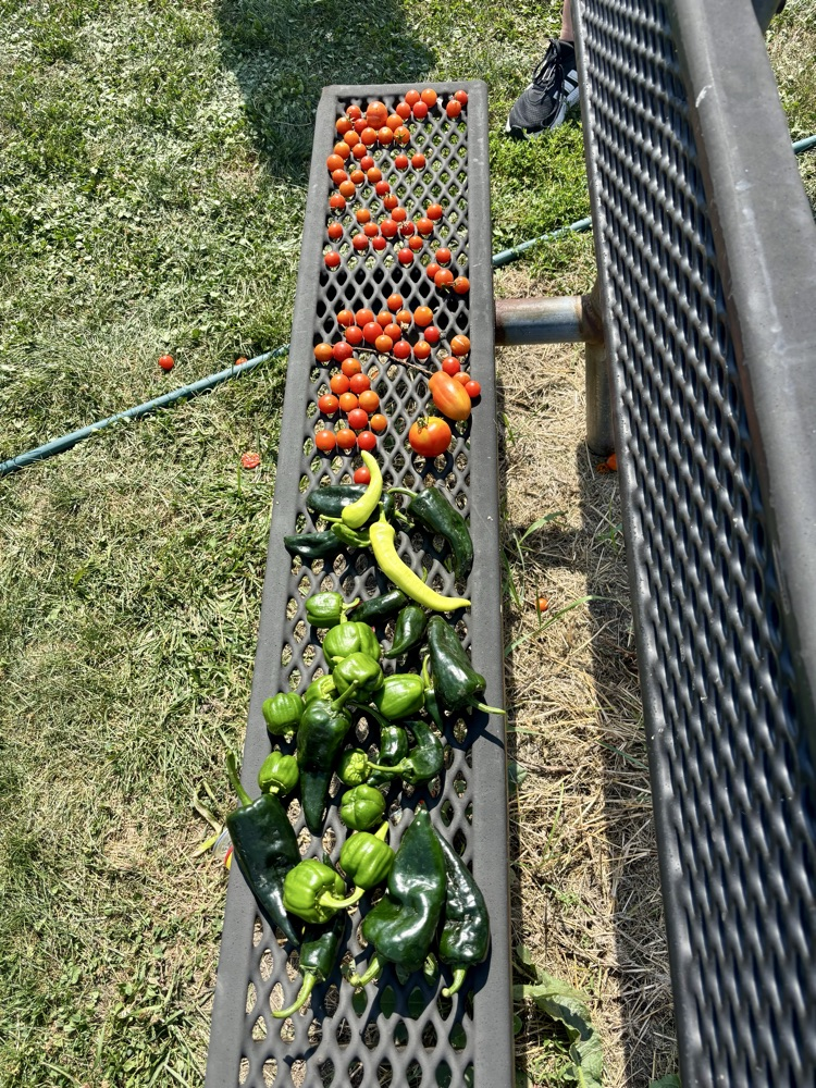 garden