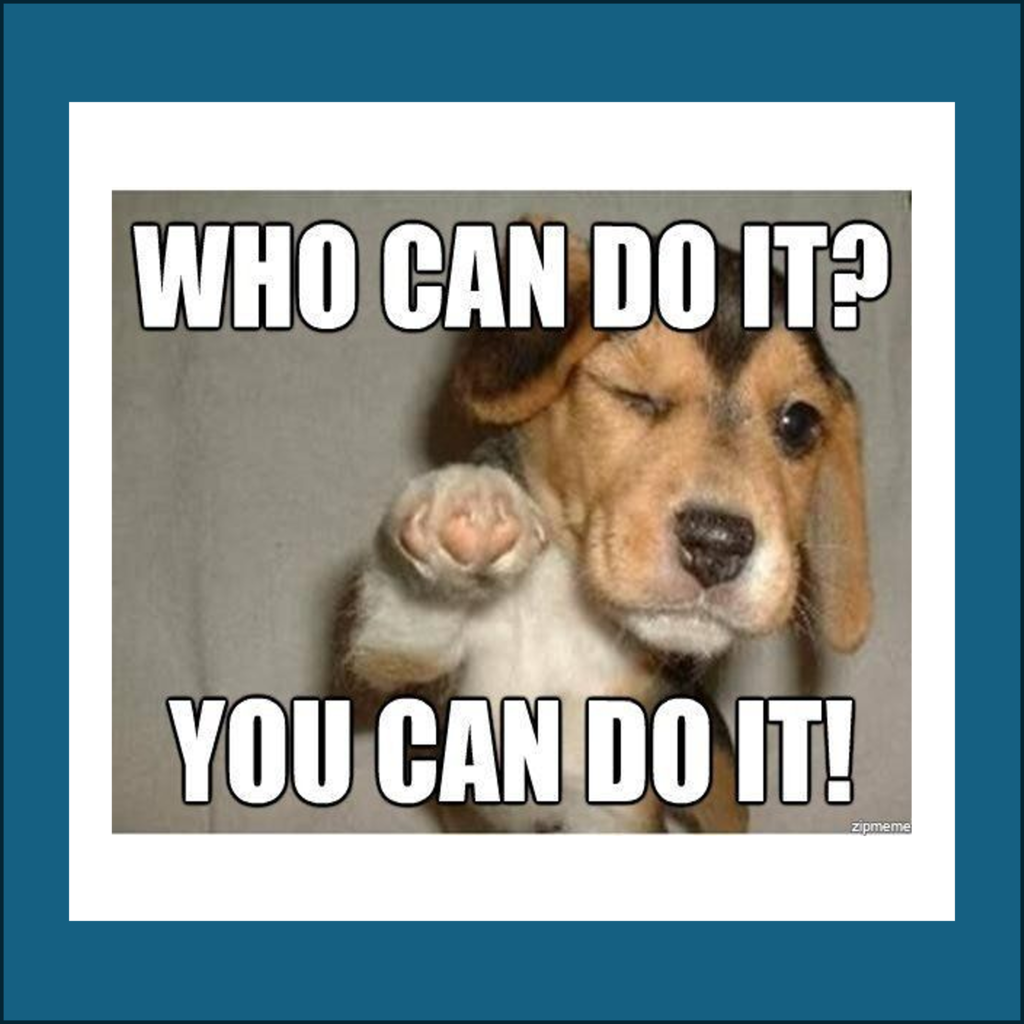 Meme with a puppy winking and pointing saying "Who can do it? You can do it!"