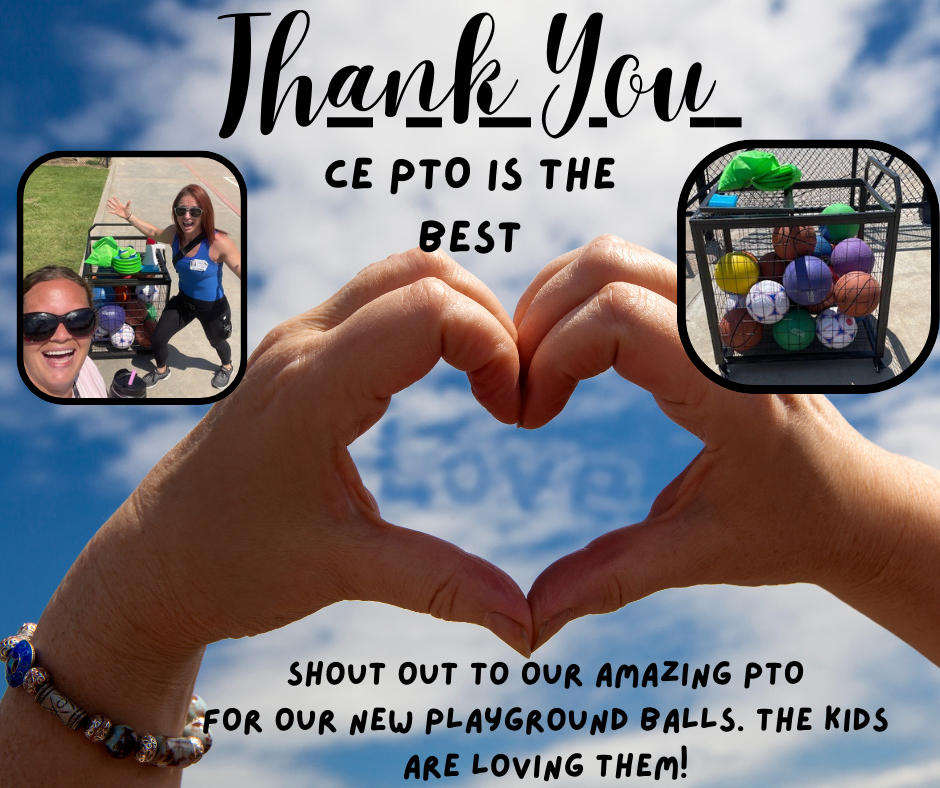Thanks you CE PTO for the playground balls!