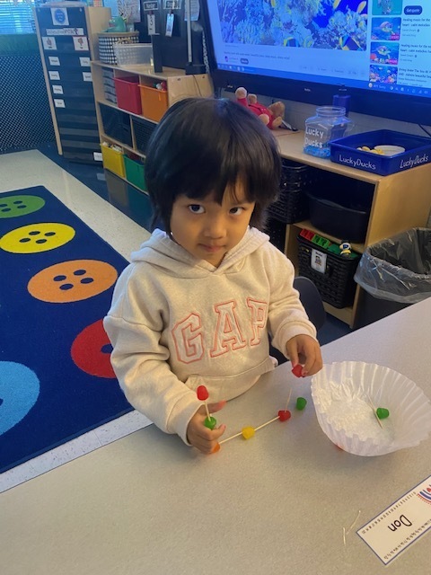 Pre-K Dot Day Don