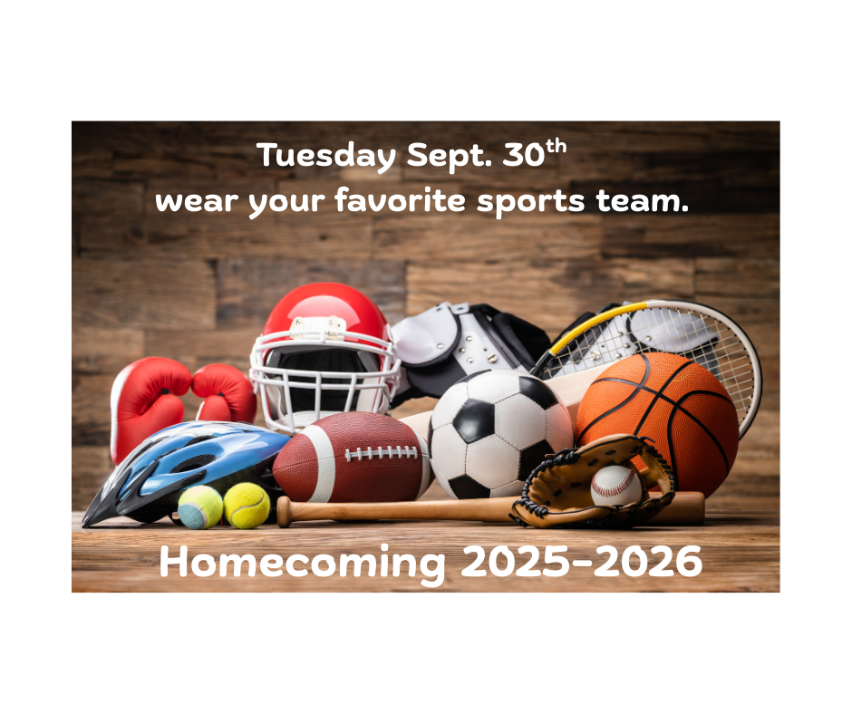 Wear your favorite sports team day