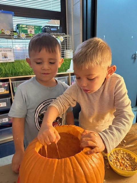 Pumpkin carving in Pre-K, Mrs. Beach