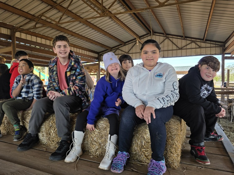 Mrs. Click’s Class