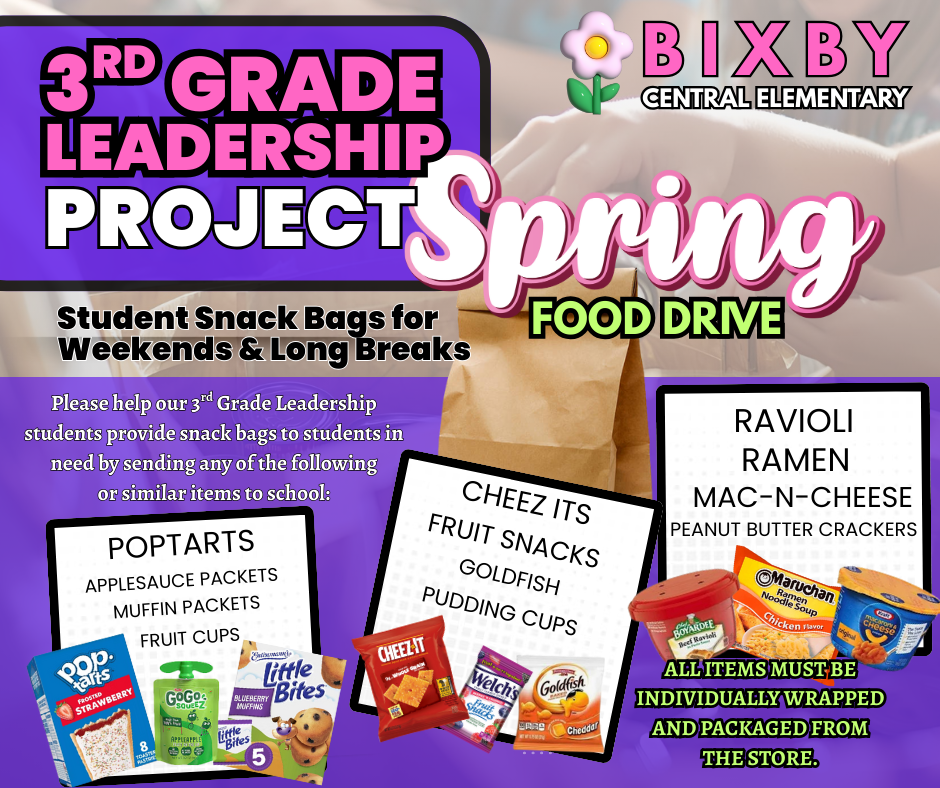 Spring leadership project