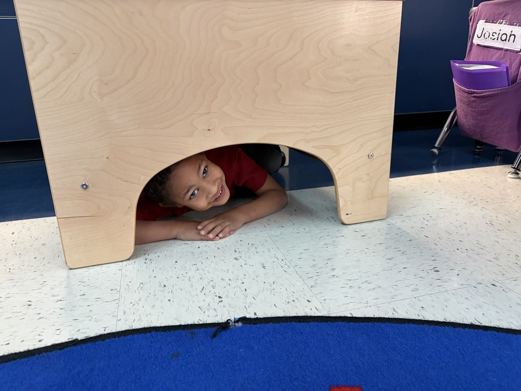 looking for his hibernation spot