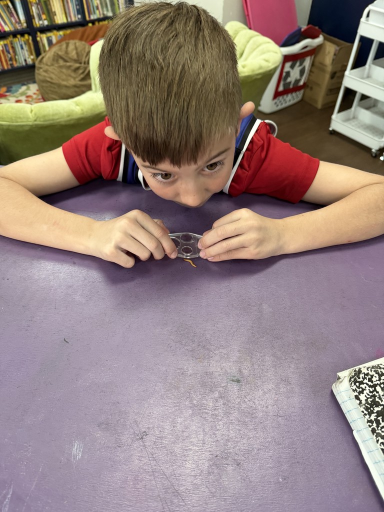 Mrs. Bartley's 4th Grade Class