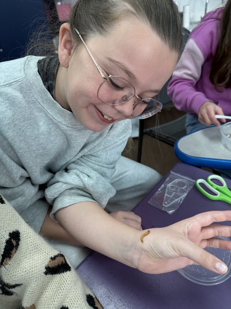 Mrs. Bartley's 4th Grade Class