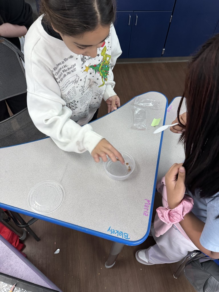 Mrs. Bartley's 4th Grade Class