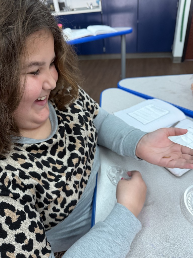 Mrs. Bartley's 4th Grade Class