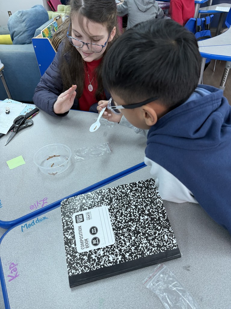 Mrs. Bartley's 4th Grade Class