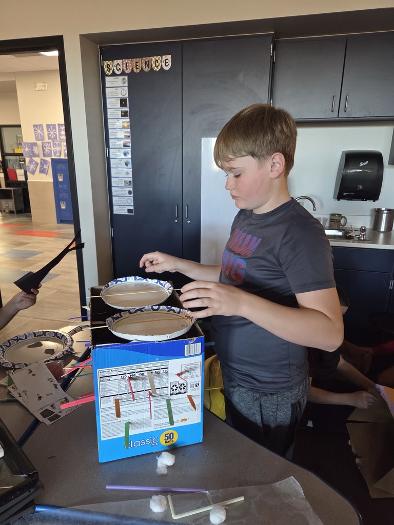 The Book "Holes" 5th Grade Party