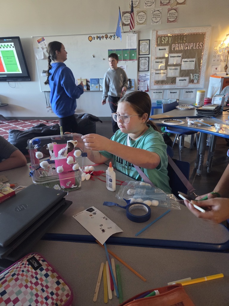 The Book "Holes" 5th Grade Party