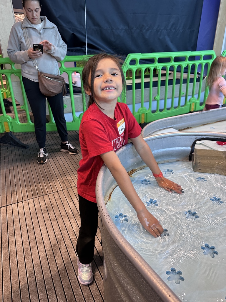 Kinder to Discovery Lab