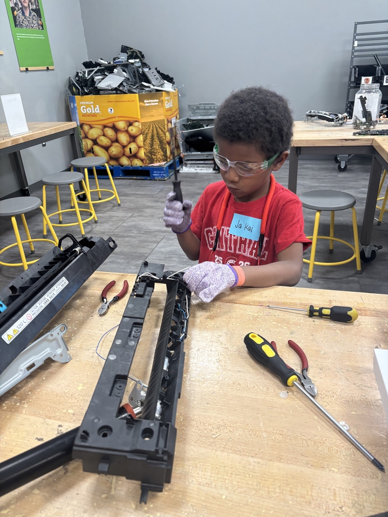 Kinder to Discovery Lab