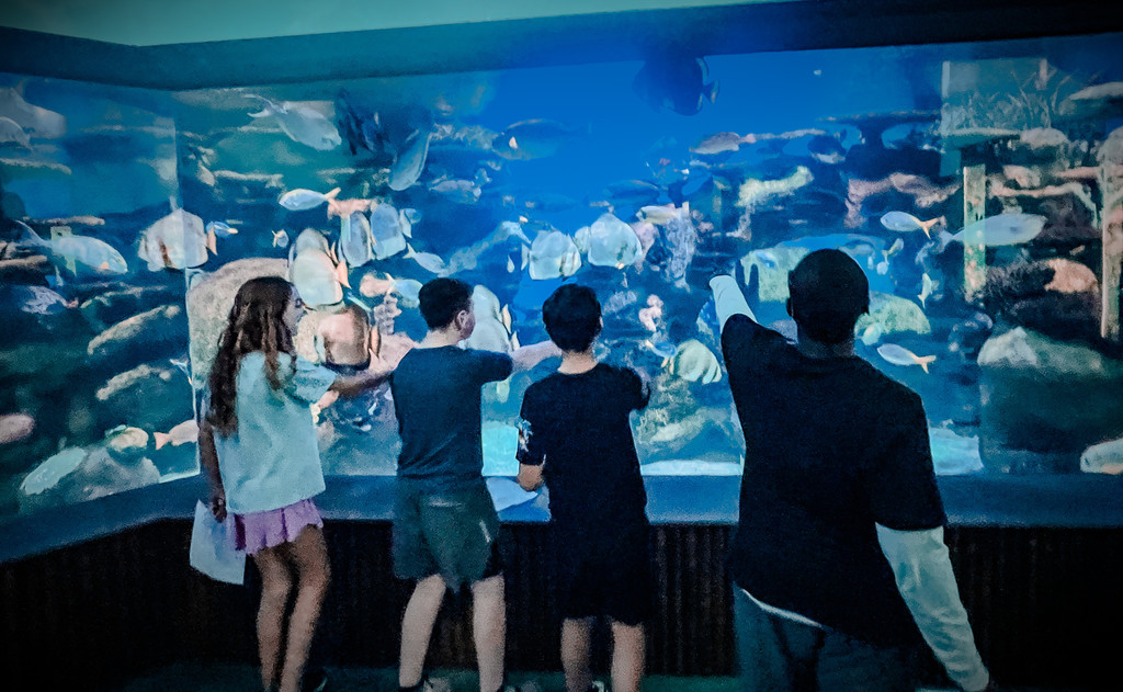 6th Grade Field Trip