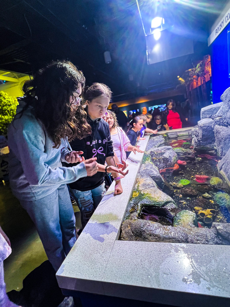 6th Grade Field Trip