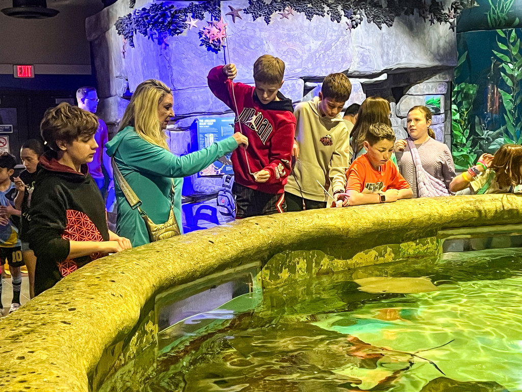 6th Grade Field Trip