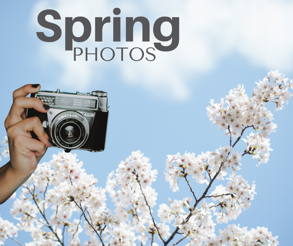 Spring Photos