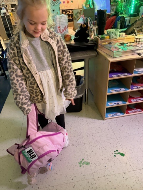 Paisley searching for the little green Leprechaun.