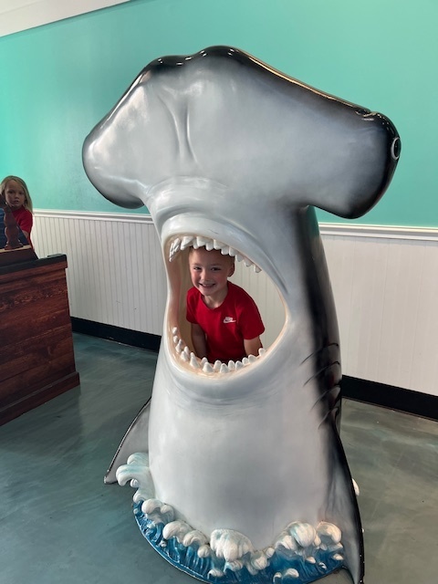 Mrs. Spain's kinder class to the aquarium