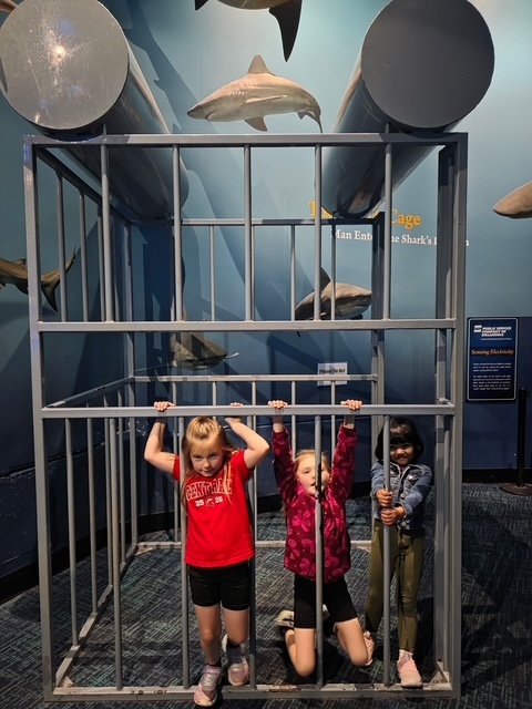 Mrs. Spain's kinder class to the aquarium