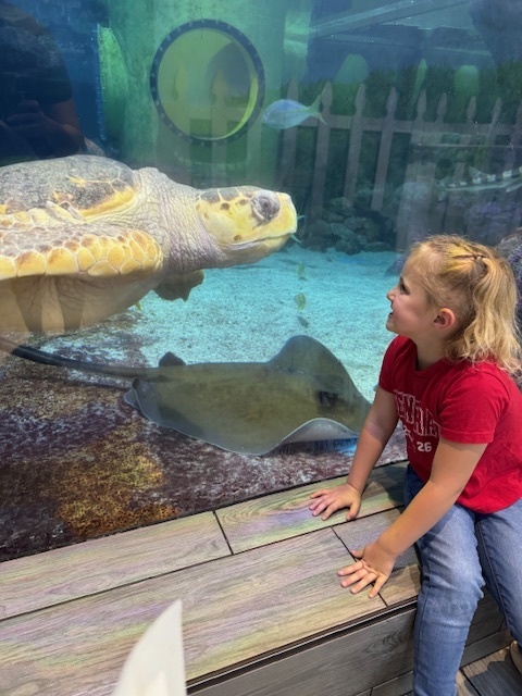 Mrs. Spain's kinder class to the aquarium