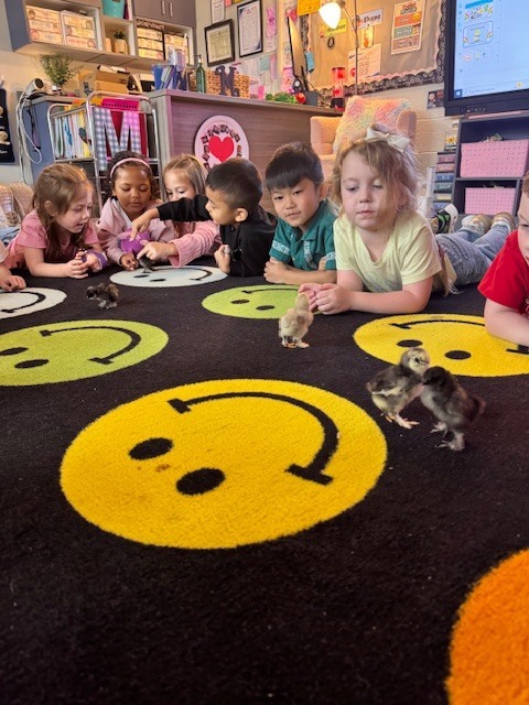 Mrs. Martin has chicks