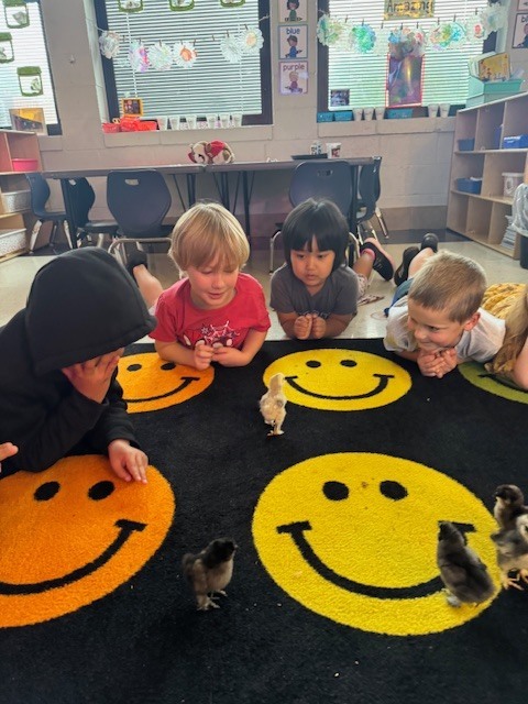 Mrs. Martin has chicks