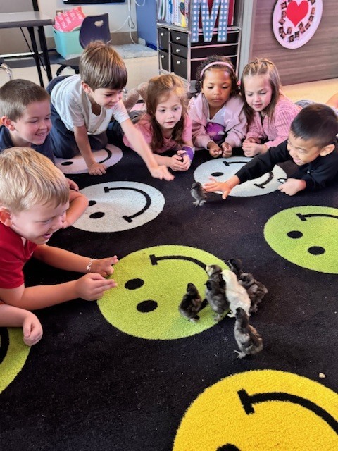 Mrs. Martin has chicks