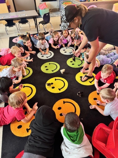 Mrs. Martin has chicks