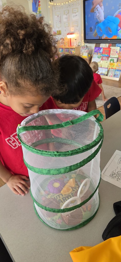 They are almost ready