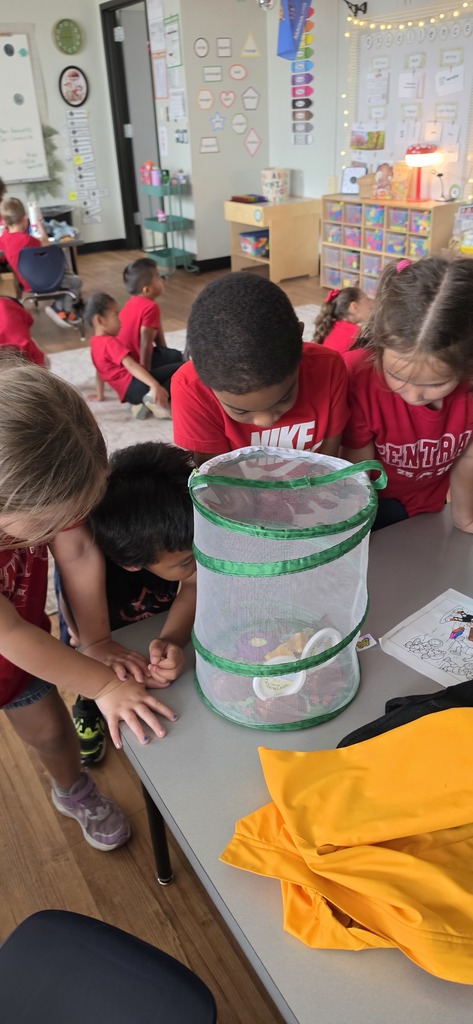 Taking good care of our catapillars