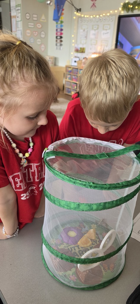 Watching our caterpillars grow  