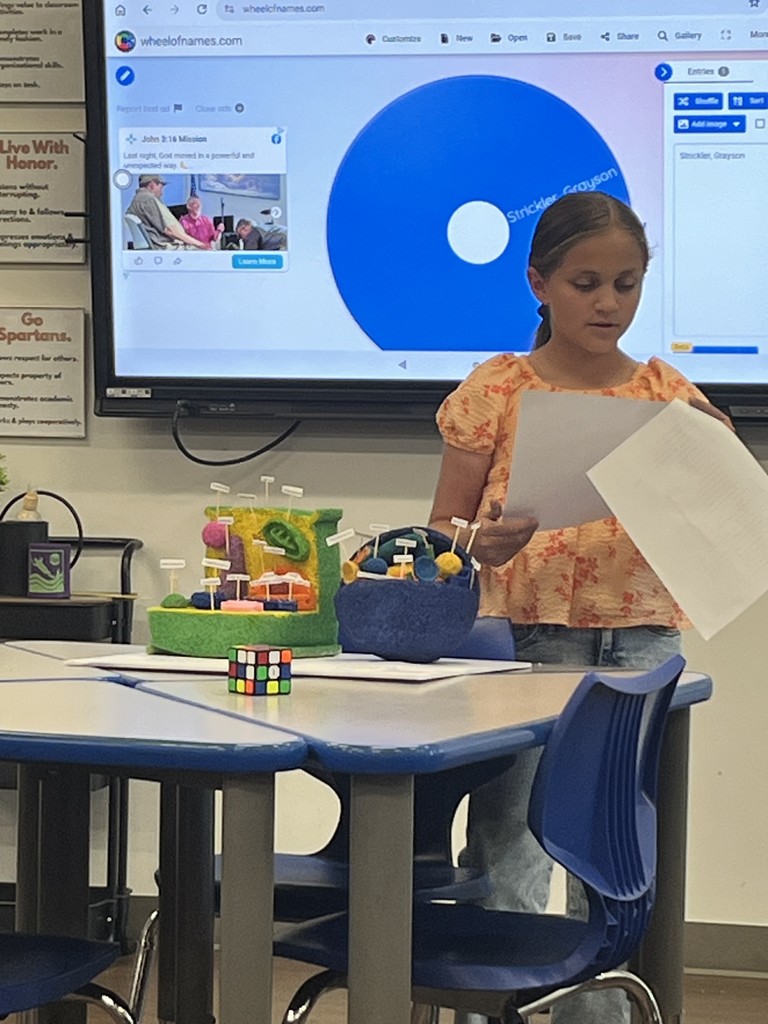Cell Model Project