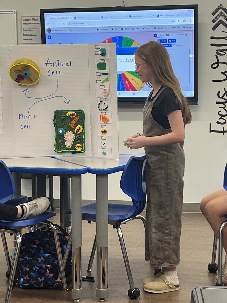 Cell Model Project