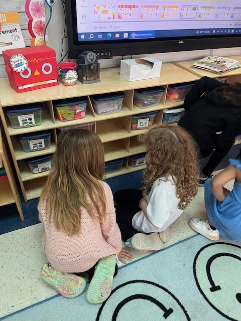 Pre-k visits kinder