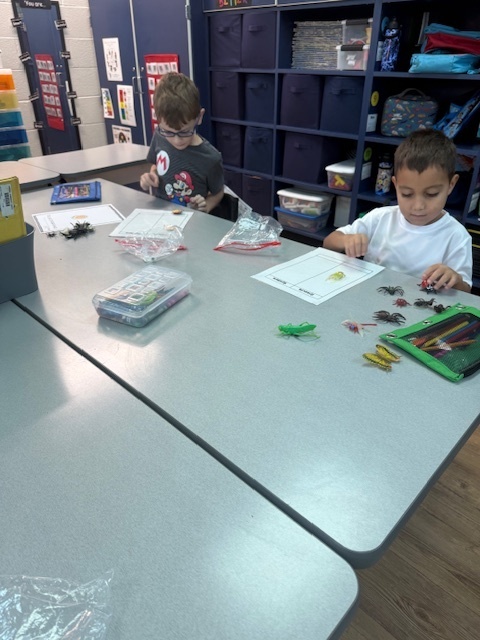 Mrs. Stamm's 1st grade class