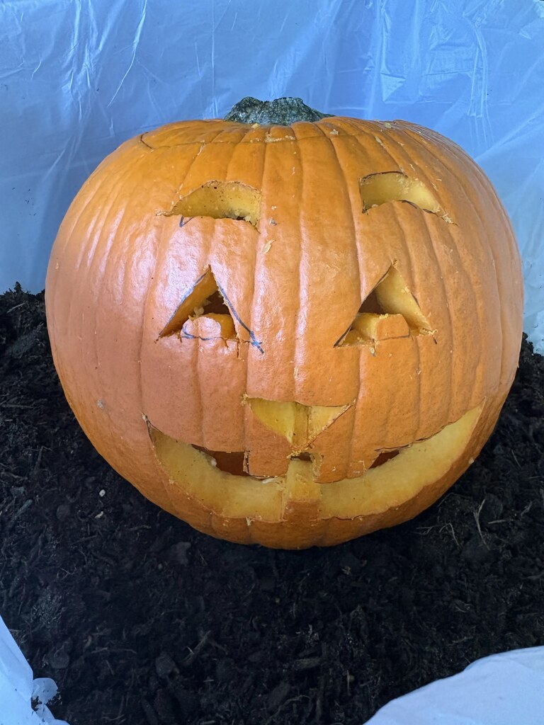 pumpkin time
