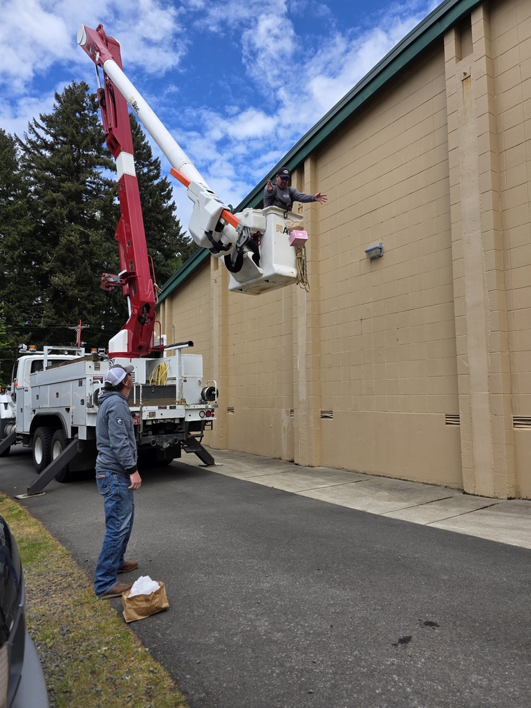 5th Grade Egg Drop @ 15 feet
