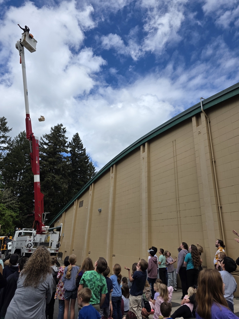 5th Grade Egg Drop @ 60 feet