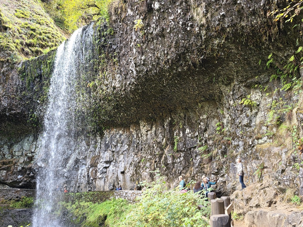 Silver Falls Field Trip 4