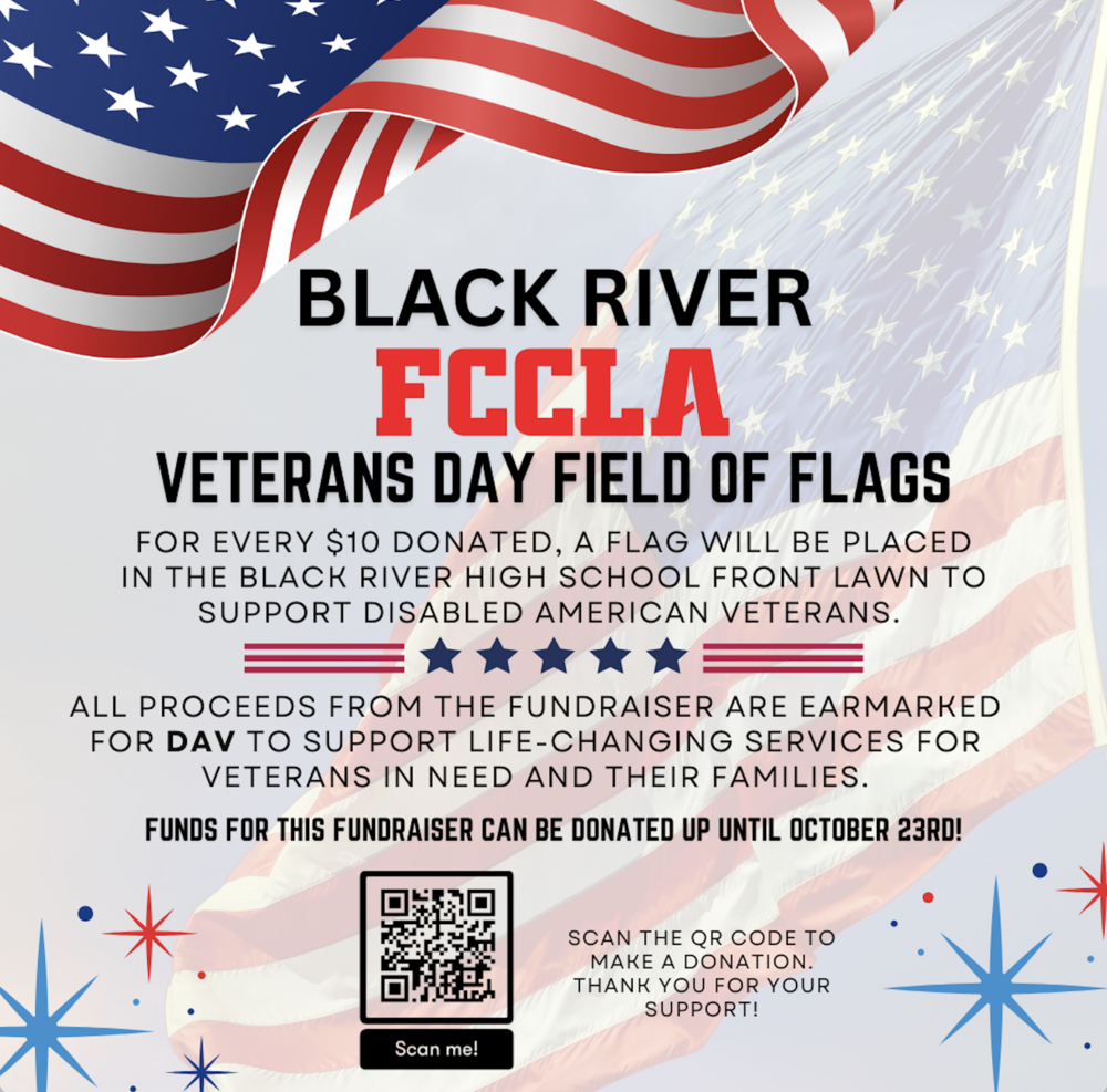 Field of Flags 