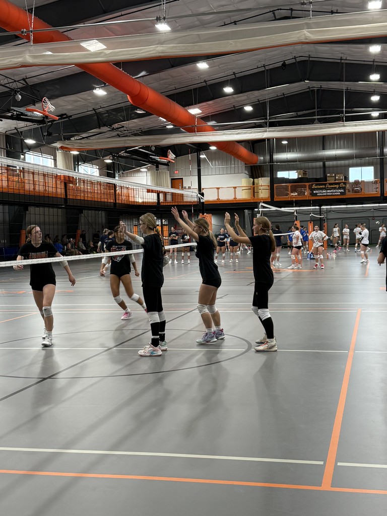 VB