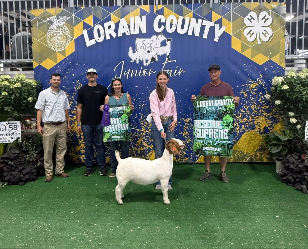 Addison Flynn - Grand Champion Breeding Doe at Lorain County Fair