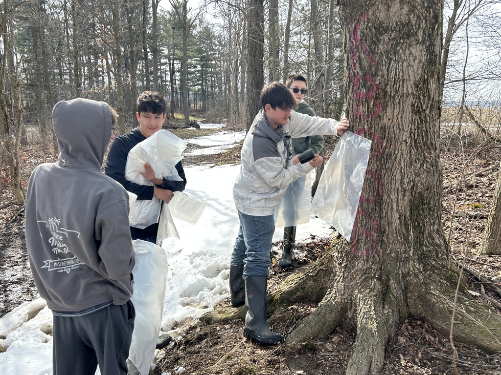 Plant and Animal Science 