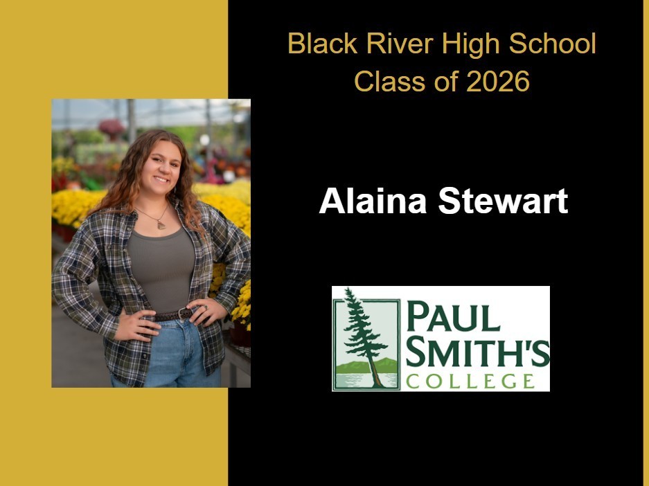alaina stewart